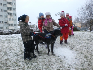 Ramses im Schnee (37)  